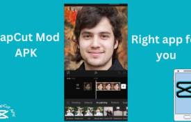 An Incumbent Tool For All Content Creators