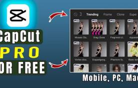 The Ultimate Video Editor For Beginners And Pros